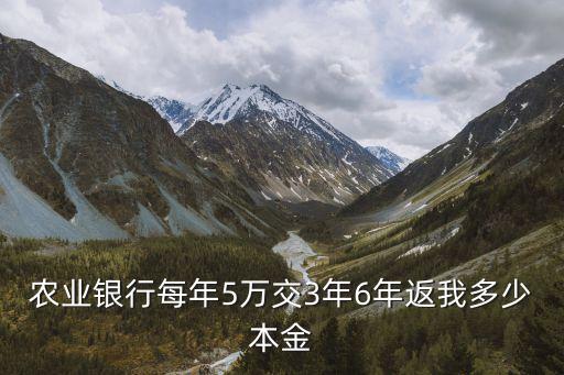 農(nóng)業(yè)銀行每年5萬交3年6年返我多少本金