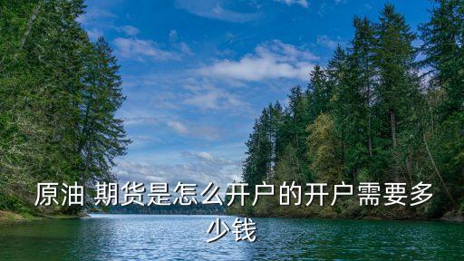  原油 期貨是怎么開(kāi)戶(hù)的開(kāi)戶(hù)需要多少錢(qián)