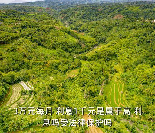 高利貸三萬利息是多少,三萬塊三年利息一萬算不算高利貸