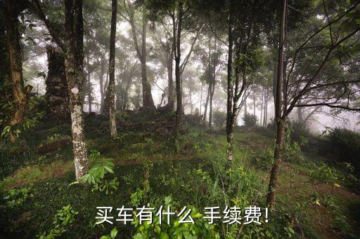  買(mǎi)車(chē)有什么 手續(xù)費(fèi)!