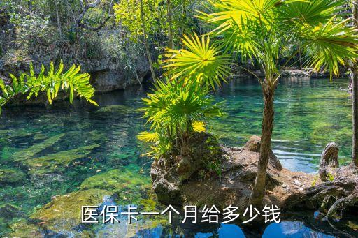  醫(yī)保卡一個(gè)月給多少錢