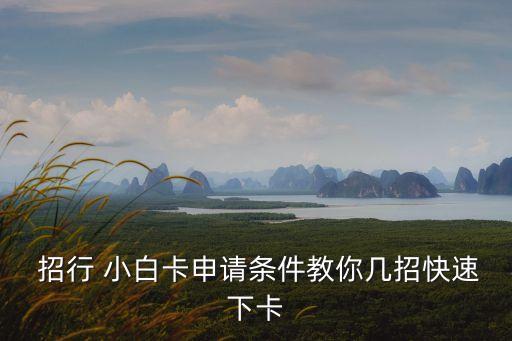  招行 小白卡申請條件教你幾招快速下卡