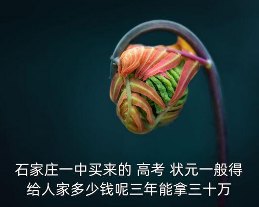 一個高考狀元多少錢,河南省高考狀元獎勵多少錢