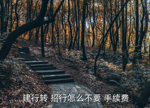 建行網(wǎng)銀轉(zhuǎn)招行手續(xù)費多少錢,招行企業(yè)網(wǎng)銀如何申請手續(xù)費發(fā)票