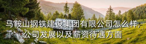馬鋼年金大概多少錢