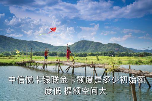  中信悅卡銀聯(lián)金卡額度是多少初始額度低 提額空間大
