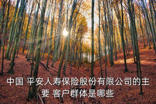 中國 平安人壽保險股份有限公司的主要 客戶群體是哪些