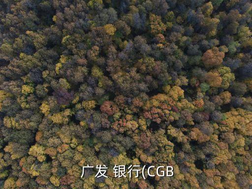 廣發(fā)銀行cgb卡年費(fèi)多少