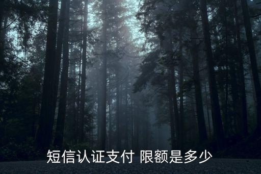 短信認(rèn)證支付 限額是多少