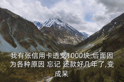 我有張信用卡透支1000塊,后面因?yàn)楦鞣N原因 忘記 還款好幾年了,變成呆