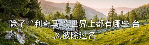 除了“利奇馬“,世界上都有哪些 臺(tái)風(fēng)被除過名