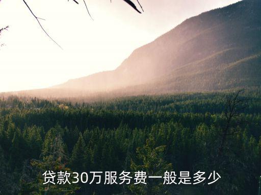  貸款30萬服務(wù)費(fèi)一般是多少