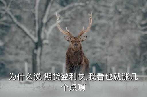 為什么說 期貨盈利快,我看也就漲幾個點(diǎn)啊