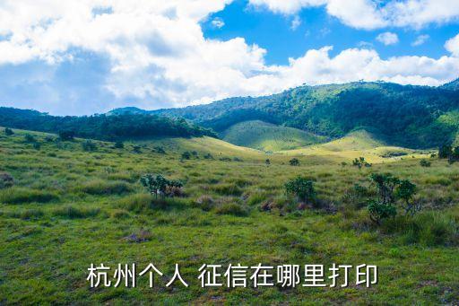  杭州個人 征信在哪里打印