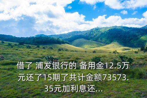 借了 浦發(fā)銀行的 備用金12.5萬元還了15期了共計金額73573.35元加利息還...