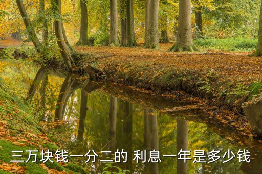 貸款3萬一年2分利息是多少,貸款130000多少利息