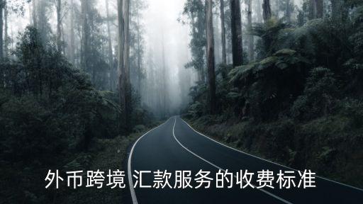 中國(guó)外匯匯款手續(xù)費(fèi)多少錢,公司外匯匯入?yún)R款目前暫不收取手續(xù)費(fèi)