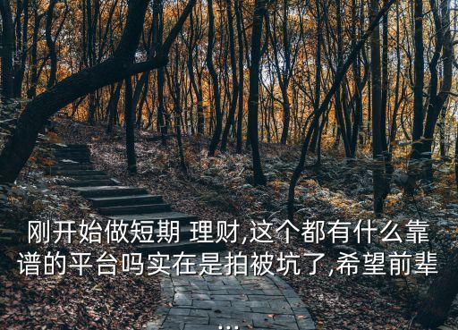 剛開始做短期 理財,這個都有什么靠譜的平臺嗎實在是拍被坑了,希望前輩...