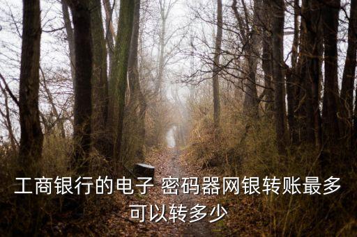 工行密碼器 多少,工行U盾原始密碼多少