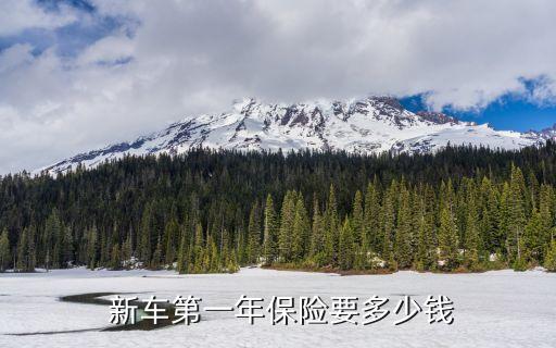  新車第一年保險(xiǎn)要多少錢