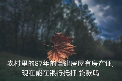 農(nóng)村里的87年的自建房屋有房產(chǎn)證,現(xiàn)在能在銀行抵押 貸款嗎