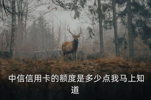 中信第一次提額多少,中信還進(jìn)去多少就降額多少