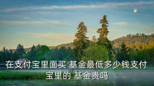 買基金都有多少錢,10萬買基金一年能賺多少