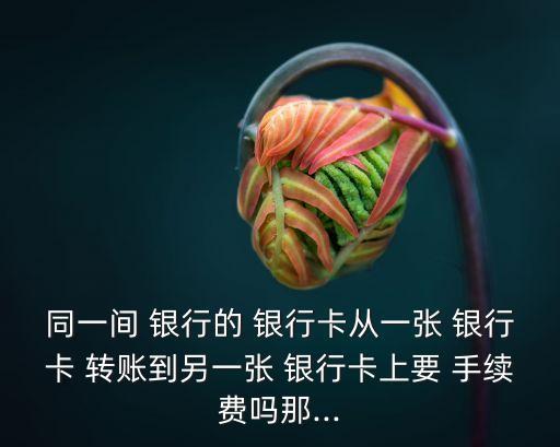 同一間 銀行的 銀行卡從一張 銀行卡 轉(zhuǎn)賬到另一張 銀行卡上要 手續(xù)費(fèi)嗎那...