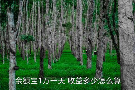  余額寶1萬一天 收益多少怎么算