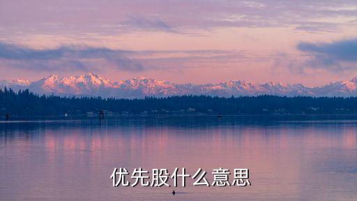  優(yōu)先股什么意思