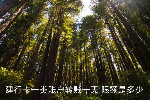 建設銀行單日消費限額是多少錢