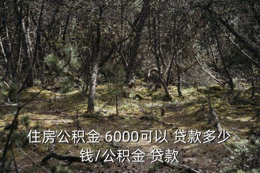 住房公積金 6000可以 貸款多少錢/公積金 貸款
