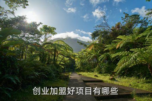 創(chuàng)業(yè)加盟好項(xiàng)目有哪些