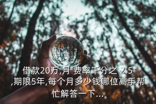 月費率2.5是多少,2.5厘年化費率是多少