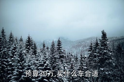 身價(jià)多少買三十萬的車,中國有多少人買三十萬以上的車
