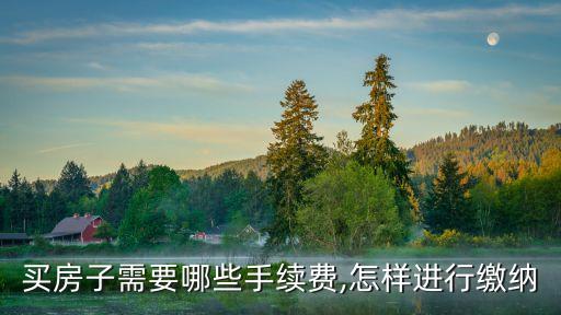 買房子需要哪些手續(xù)費(fèi),怎樣進(jìn)行繳納