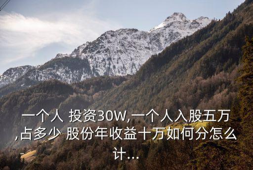 一個人 投資30W,一個人入股五萬,占多少 股份年收益十萬如何分怎么計...