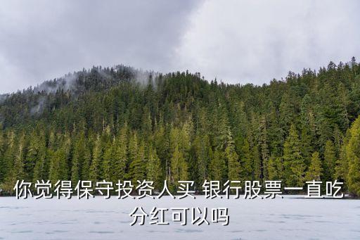 買(mǎi)銀行股吃股息年收益多少