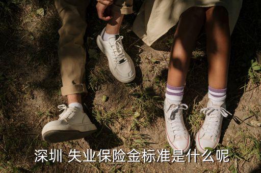  深圳 失業(yè)保險(xiǎn)金標(biāo)準(zhǔn)是什么呢