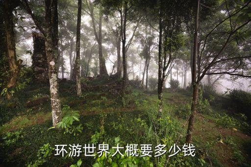 環(huán)球旅行大約需要多少費(fèi)用,糖糖環(huán)球旅行費(fèi)用是多少