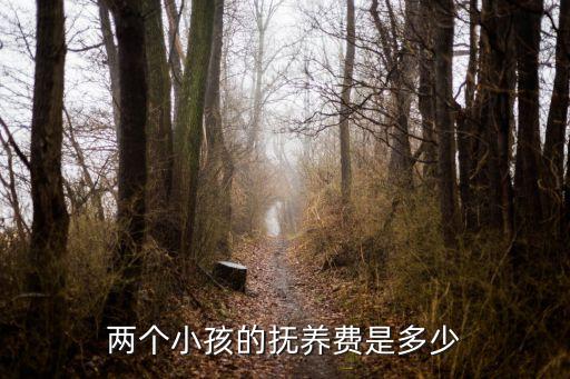 養(yǎng)二個(gè)孩子要多少錢(qián)