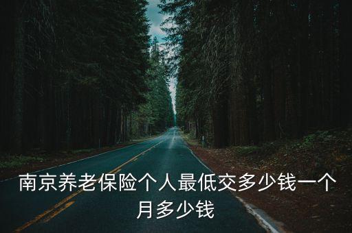  南京養(yǎng)老保險個人最低交多少錢一個月多少錢
