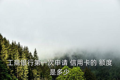 工商銀行第一次申請(qǐng) 信用卡的 額度是多少