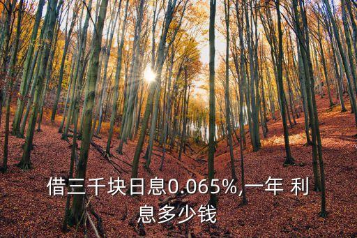 借三千塊日息0.065%,一年 利息多少錢
