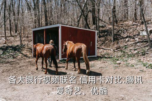農(nóng)業(yè)銀行愛(ài)奇藝信用卡一般額度多少錢(qián)啊