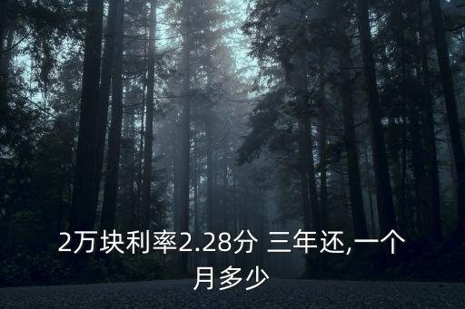 2萬塊利率2.28分 三年還,一個(gè)月多少