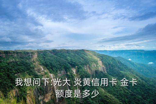 我想問下:光大 炎黃信用卡 金卡 額度是多少