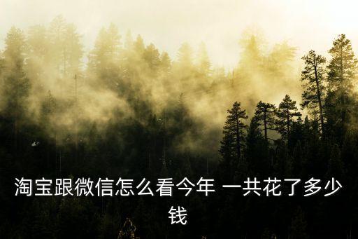 淘寶跟微信怎么看今年 一共花了多少錢(qián)