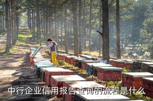 中行企業(yè)信用報告查詢的流程是什么