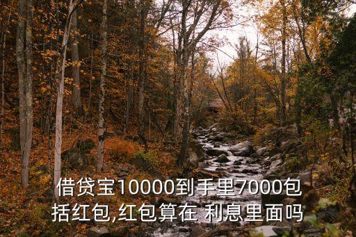  借貸寶10000到手里7000包括紅包,紅包算在 利息里面嗎